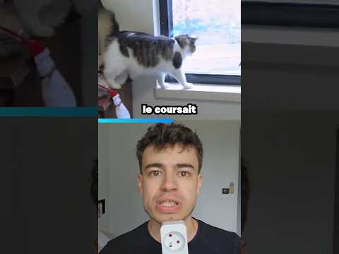 Ce chat est maudit thumbnail