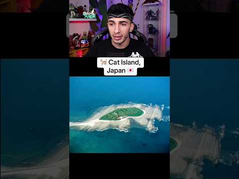 HAYVANLAR TARAFINDAN YÖNETİLEN ADALAR! 🤯 #shorts thumbnail