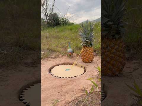 Innovative And Very Effective Parrot Trap #shorts thumbnail