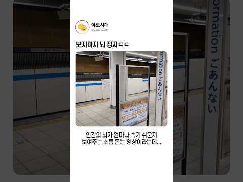 보자마자 뇌 정지ㄷㄷ thumbnail