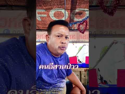 บ่แมนเด้อ? #funny #stitchtricks #comedy #funnyvideos #stitchboutique #fypシ #diynstitch #duet thumbnail