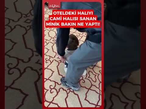 Oteldeki halıyı cami halısı zanneden minik herkesi gülümsetti #shorts #keşfet #çocuk #cami thumbnail