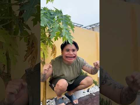 Eggynog rooster 🐓🥚🐣 #BiboyBecky #BiboyAndBecky #shorts #skits #funny #comedy thumbnail