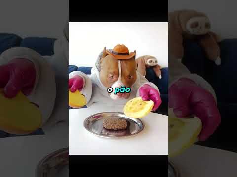 O CACHORRO NÃO TINHA DINHEIRO thumbnail
