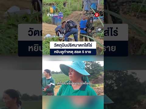 วัตถุบินปริศนาตกใส่ไร่ ชาวบ้านหยิบดูทำเหตุ สลด 5 ราย! thumbnail