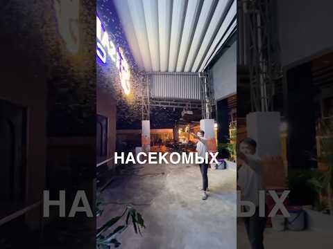 Куча букашек 😲 #истории #история #новости #новость #shorts thumbnail