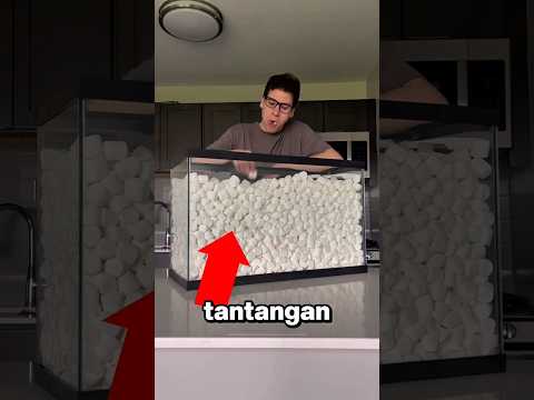 Challenge Makan 100 Liter: Beneran atau Settingan? thumbnail