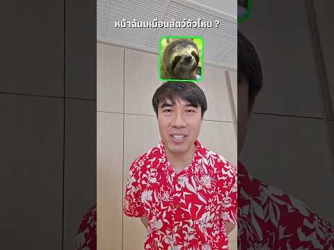 หน้าฉันเหมือนสัตว์ตัวไหน? #เสือร้องไห้ #TigerShorts #Shorts thumbnail