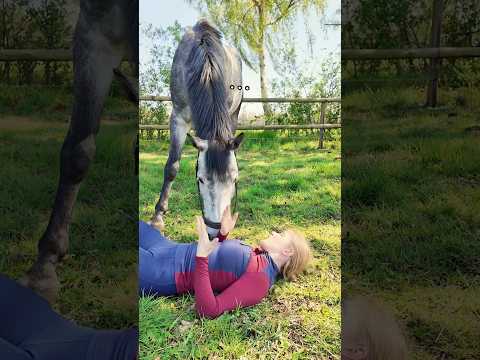 He always listens 🥹❤️ #equestrian #horses #horsegirl #horserider #animals #lifewithhorses thumbnail