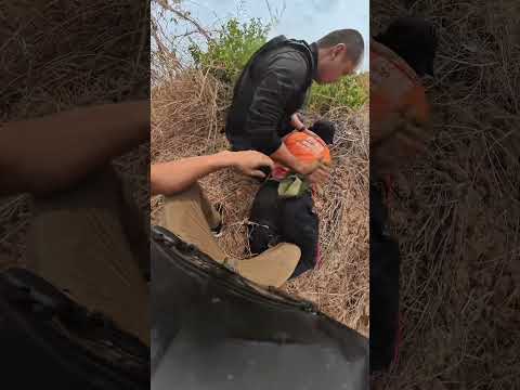 ภาคต่อ ฟันหน้าเกือบไม่อยู่ด้วย #funny thumbnail