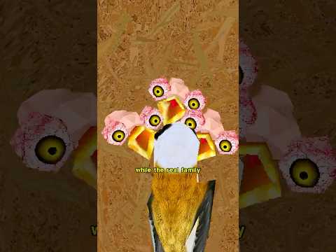 Bird Builds Fake Nest thumbnail