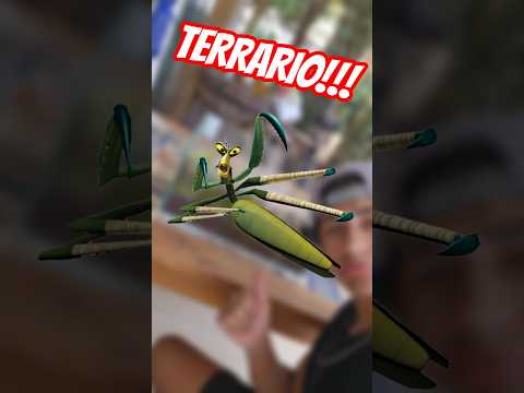 CRIANDO UM ECOSSISTEMA PARA UM LOUVA-A-DEUS #shorts thumbnail