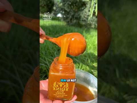 Những Mật Ong Bị Bỏ Quên Suốt 50 Năm Trở Thành Kho Báu thumbnail