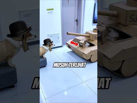 Anjing Ini Lompat dari Tank Ternyata Dia Tahu Sesuatu.#shortvideo thumbnail