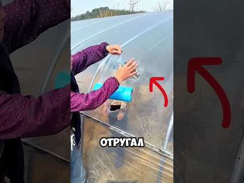 Защитная плёнка, которую нельзя порвать! thumbnail