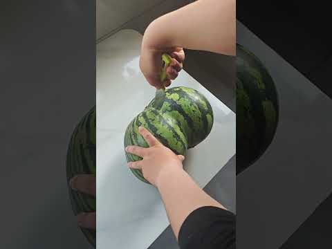 Quả dưa hấu "sinh đôi" kỳ lạ #memevietnam #meme #funny #haihuoc thumbnail