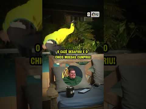 Não da pra falar que o Chico não tá comprometido com o hexa! 🇧🇷🇧🇷🤣🤣🤣 thumbnail