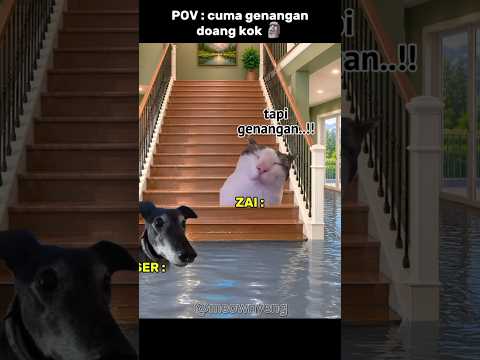apa itu dataran tinggi ? 🤔 #kucinglucu #memekucing #memes #cat #komedi thumbnail