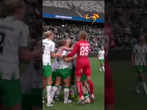 Hammarby cupmästare – publiken stormar planen thumbnail
