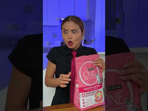 Grandma’s Biggest Secret 😂🐱 thumbnail