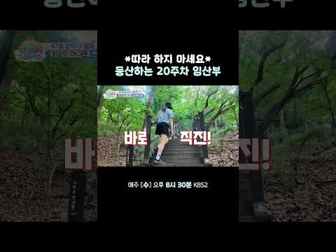 20주차 임산부가 등산을 할 수 있다? #슈퍼맨이돌아왔다 #KBS thumbnail