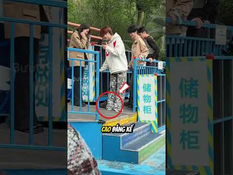 Bí Mật Về Chiều Cao Của Bọn Họ Đã Bị Phát Hiện ? thumbnail