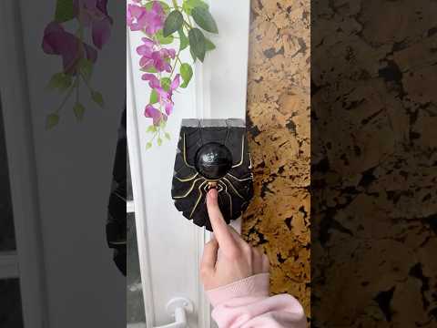 I broke the Doorbell... 😭🔊 thumbnail