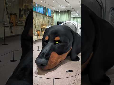 Le centre commercial protégé par un “chien géant” thumbnail