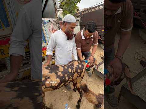 चचा जान ने 50,000 का बकरा खरीदा 😱| #trending #shorts #viralvideo #viral thumbnail