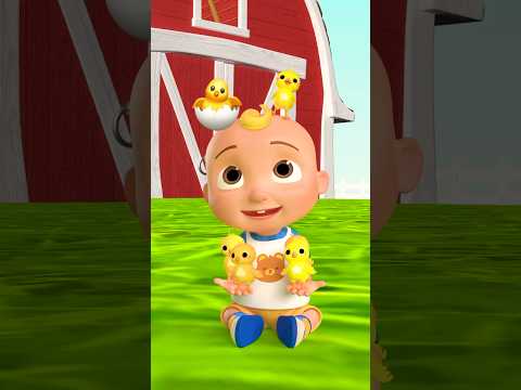 Can you count the baby chicks ?? with me? #shorts thumbnail