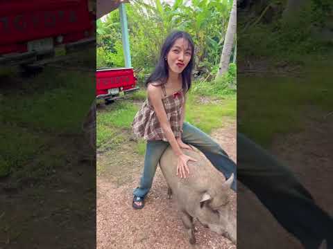 หนีแฟนกลับบ้านเกิดจะเป็นยังไงep1 #funny #บักฮาโอ๊ต thumbnail