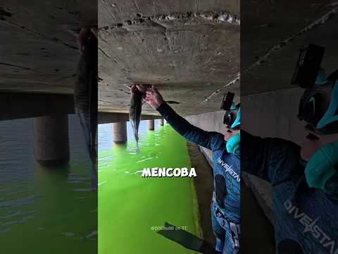 Pria Ini Jahil Banget Sama Pemancing 😂🎣 thumbnail
