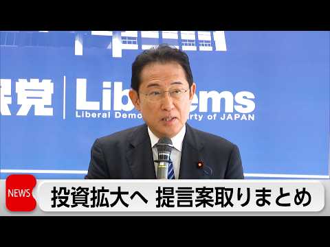 自民党　政府の「新たな投資枠」など国内投資拡大へ提言案とりまとめ thumbnail