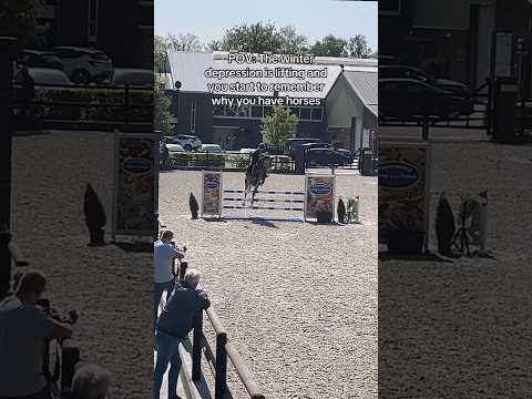 This is why I have horses 🥹☀️🐴 #equestrian #showjumping #horses #horsegirl #horserider #horse thumbnail