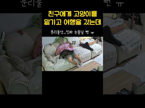 세계 여행도 가능하겠네.. thumbnail