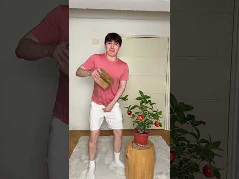 On zmienia kształt jabłka thumbnail