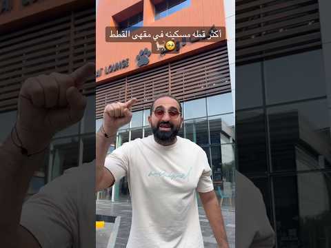 اكثر قطه مسكينه في مقهى القطط thumbnail