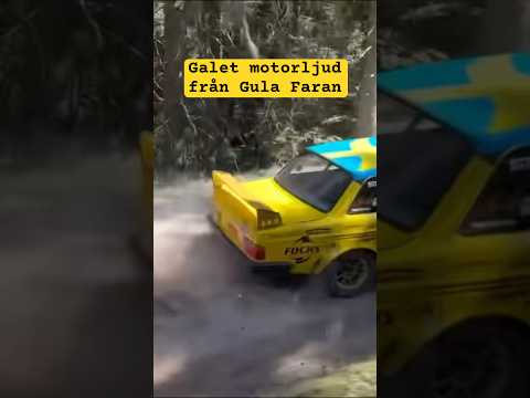 Vilket vrål från Gula Faran! Lyssna på HELA videon thumbnail