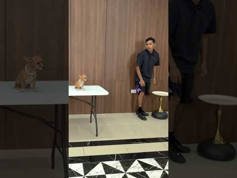 NO SE QUIERE BAÑAR #comedia thumbnail