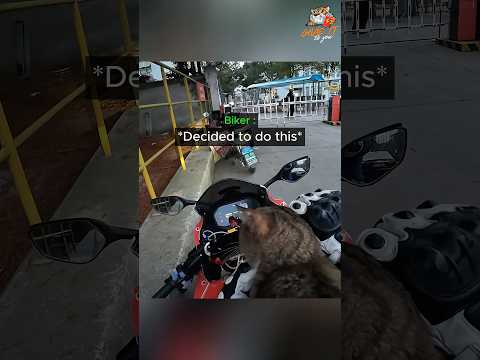 Biker gets an unexpected gift from a stray cat he just fed ? thumbnail