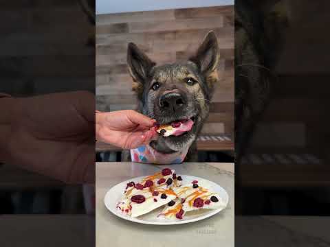 Yogurt Bark For Dogs Recipe thumbnail