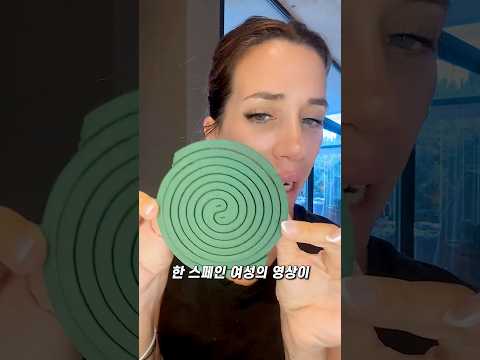 스페인에서 화제인 100년 된 모기향 thumbnail