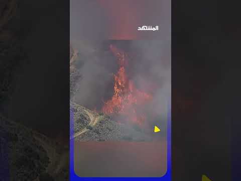 الحرائق تلتهم غابات كاليفورنيا thumbnail