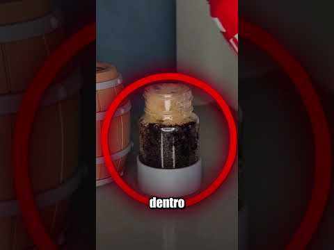PEGA FORMIGA (FÁCIL) thumbnail