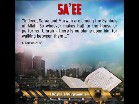 Sa'ee thumbnail