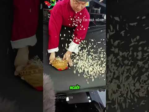 Ai cũng tưởng ông ấy có phép thuật biến ra bỏng gạo thumbnail