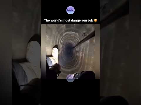 The world's most dangerous job 😍 thumbnail