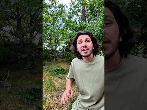 IIIYYYY thumbnail