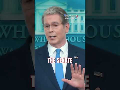 Trump on a $250 Bill?! thumbnail