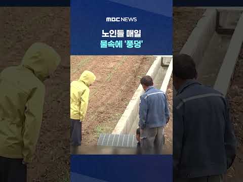 "수문이 없다고?" 환장할 농수로.. 노인들 매일 물속에 '풍덩' #Shorts (MBC뉴스) thumbnail